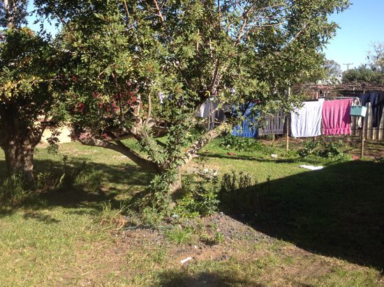 Real Estate in Walgett