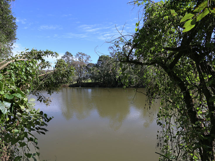 Wyrallah real estate Sold