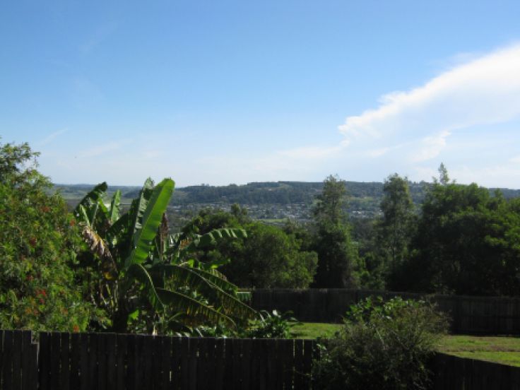 Real Estate in Lismore Heights