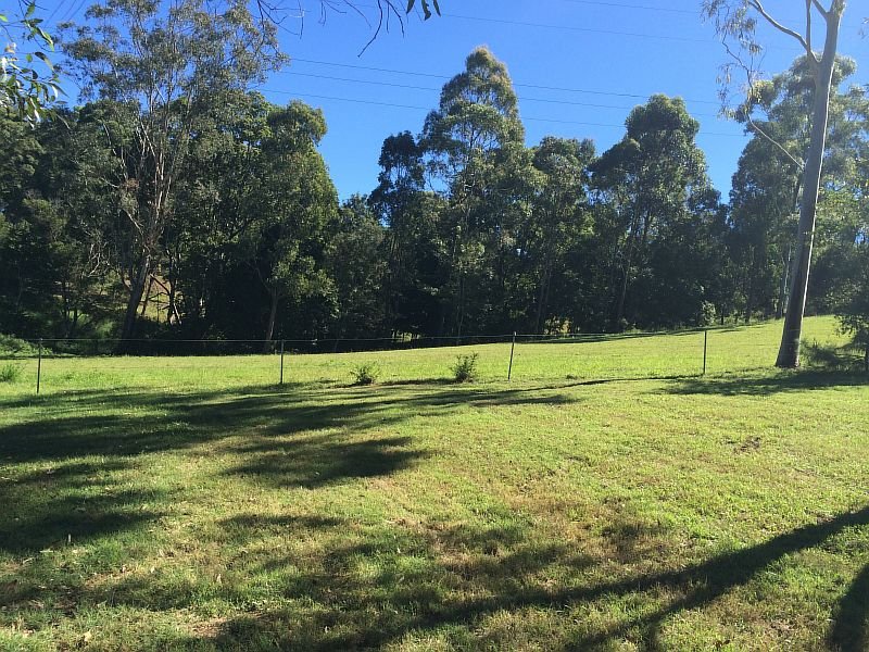 Real Estate in Palmwoods