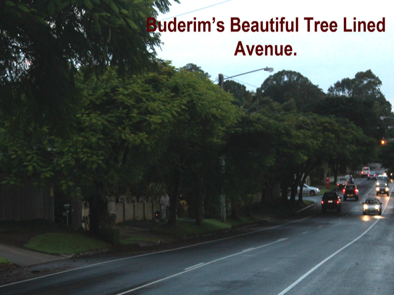 Selling your property in Buderim