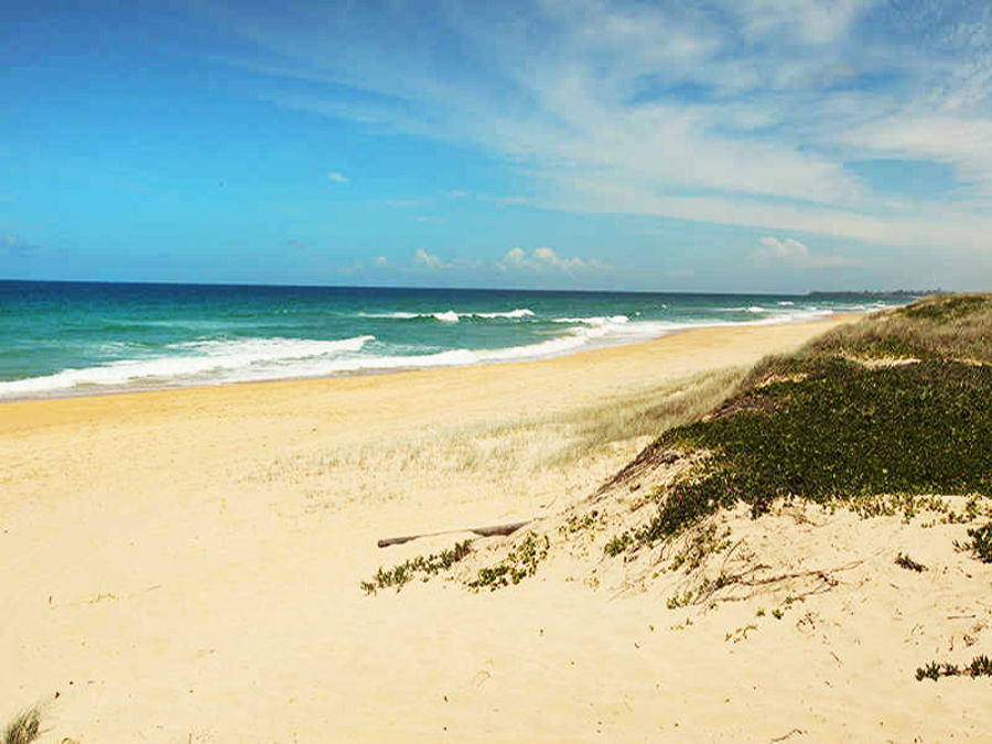 Real Estate in Buddina