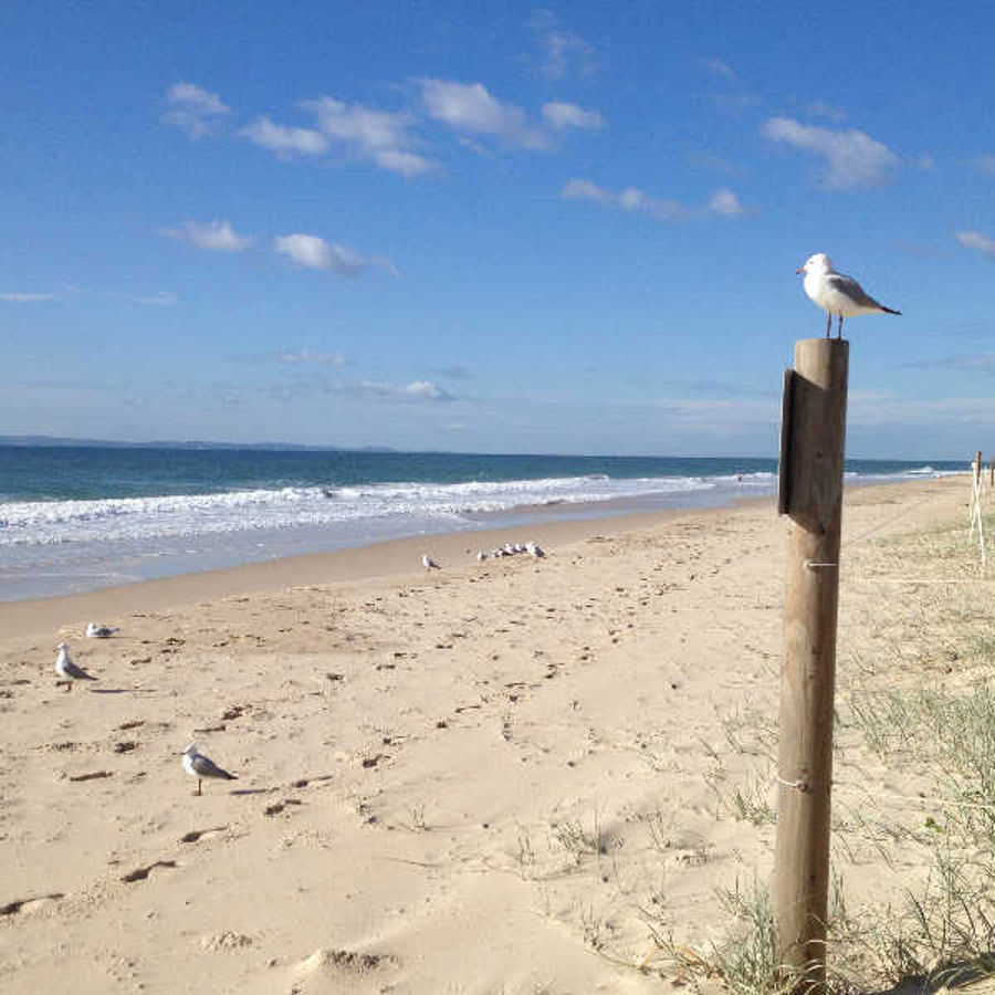 Real Estate in Woorim