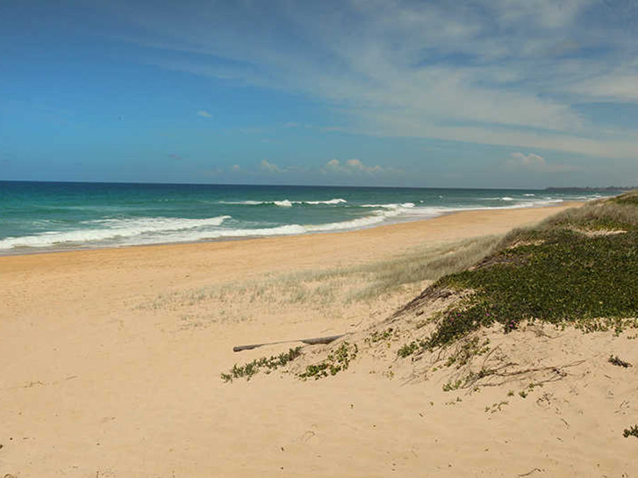 Real Estate in Buddina