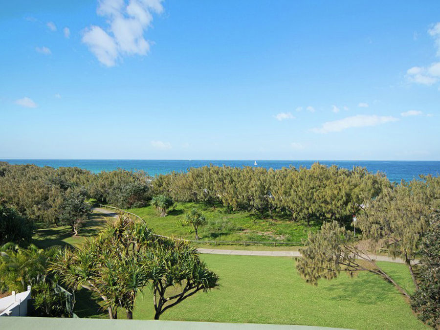 Real Estate in Buddina