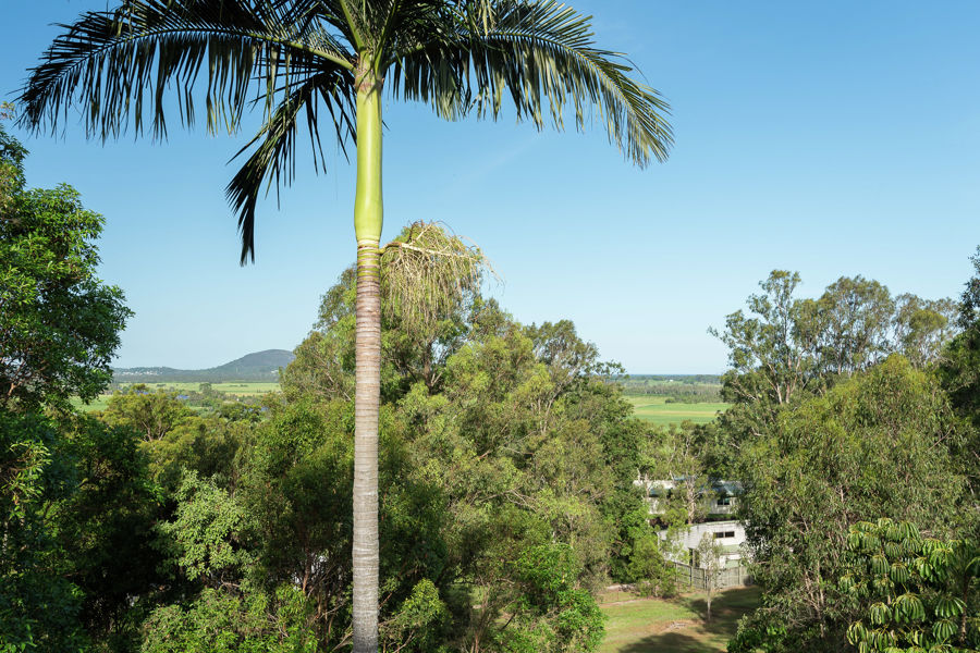 Maroochy River Properties Sold