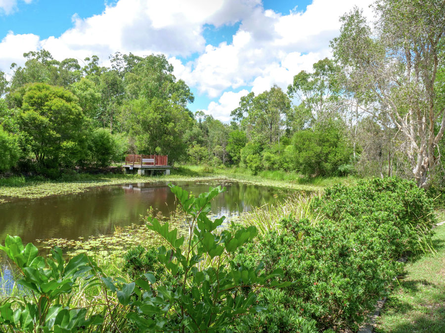 Real Estate in Beerwah