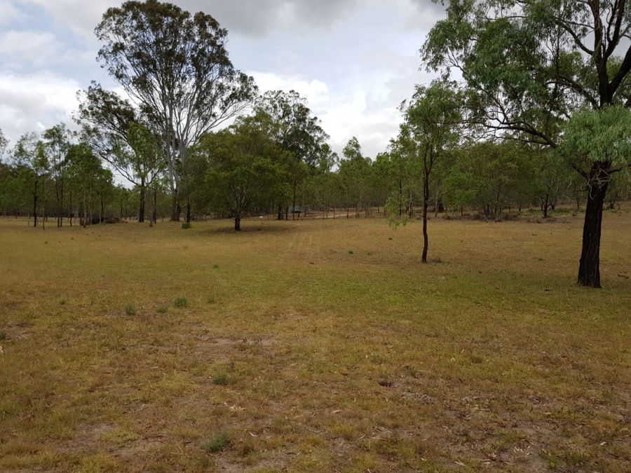 Real Estate in Mount Binga