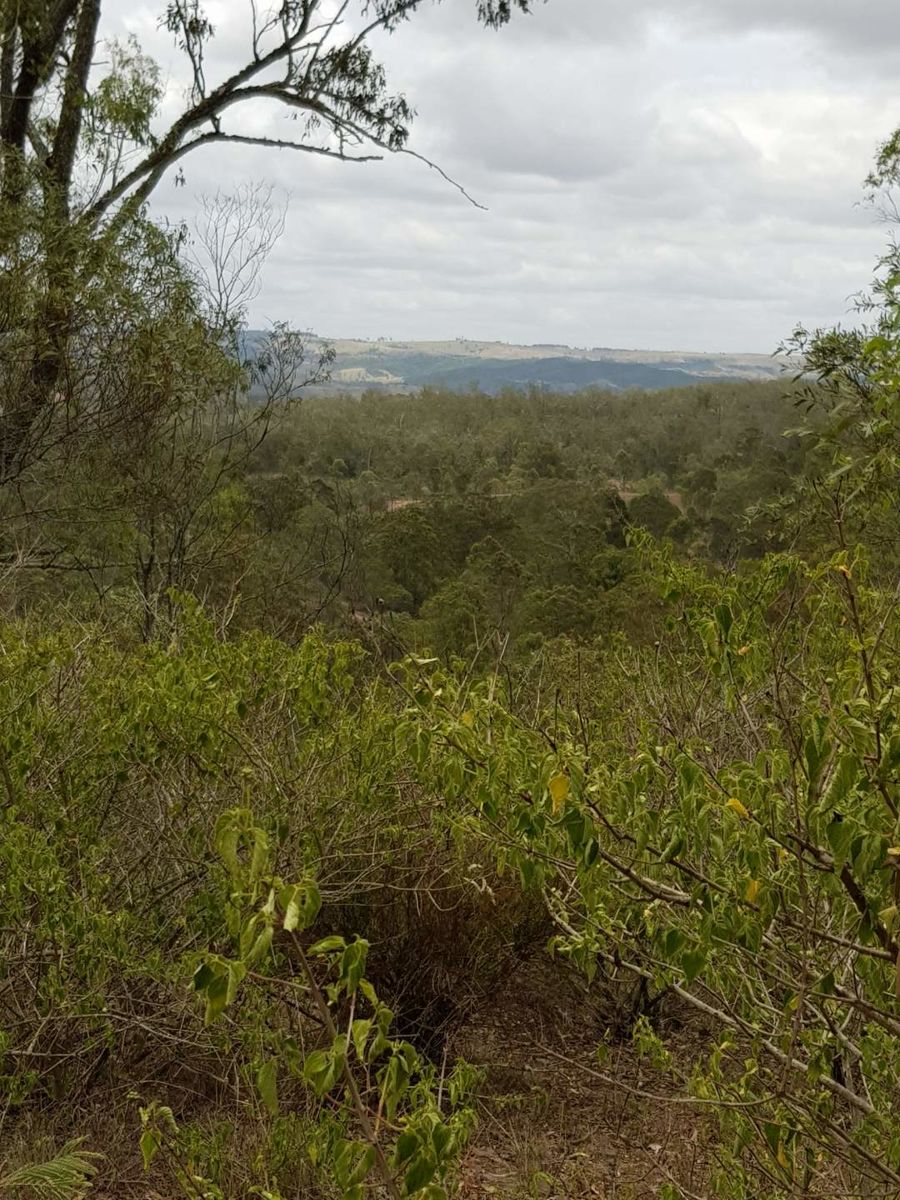 Real Estate in Mount Binga