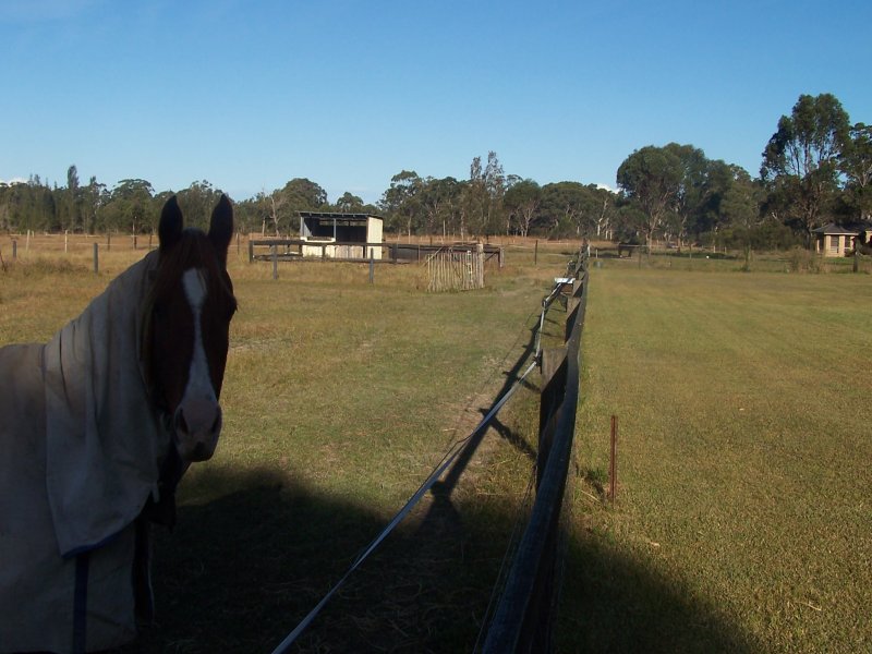 Failford real estate Sold