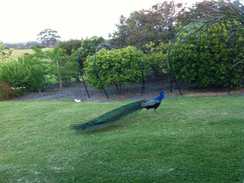 Real Estate in Failford