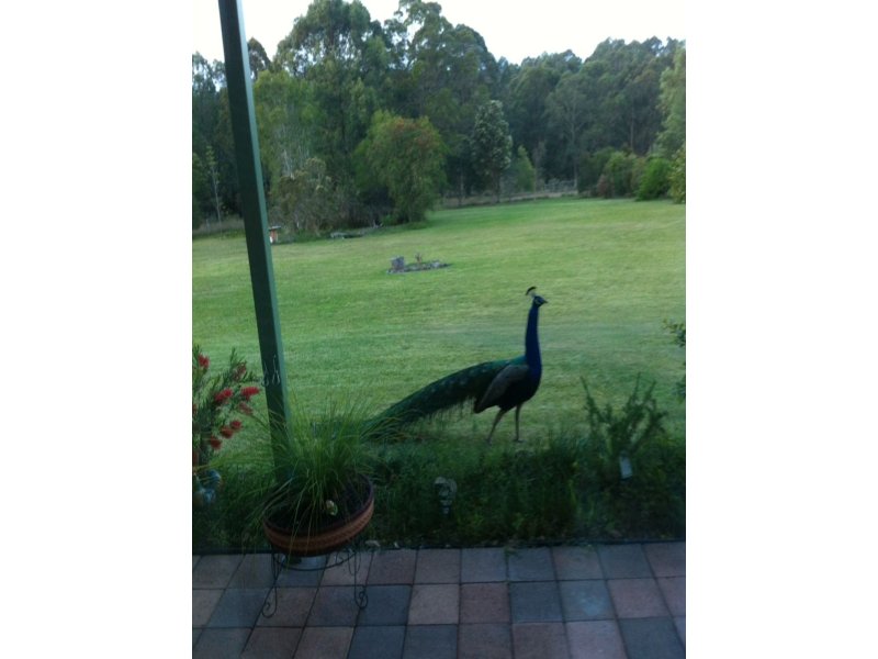 Real Estate in Failford