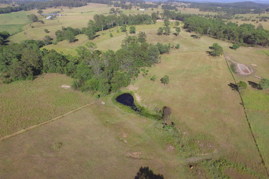 Real Estate in Nabiac