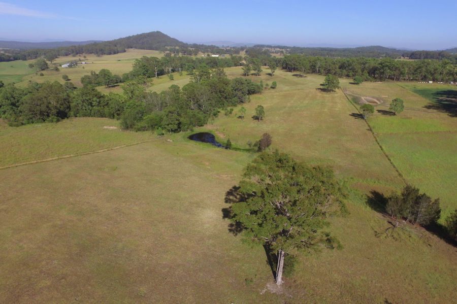 Real Estate in Nabiac
