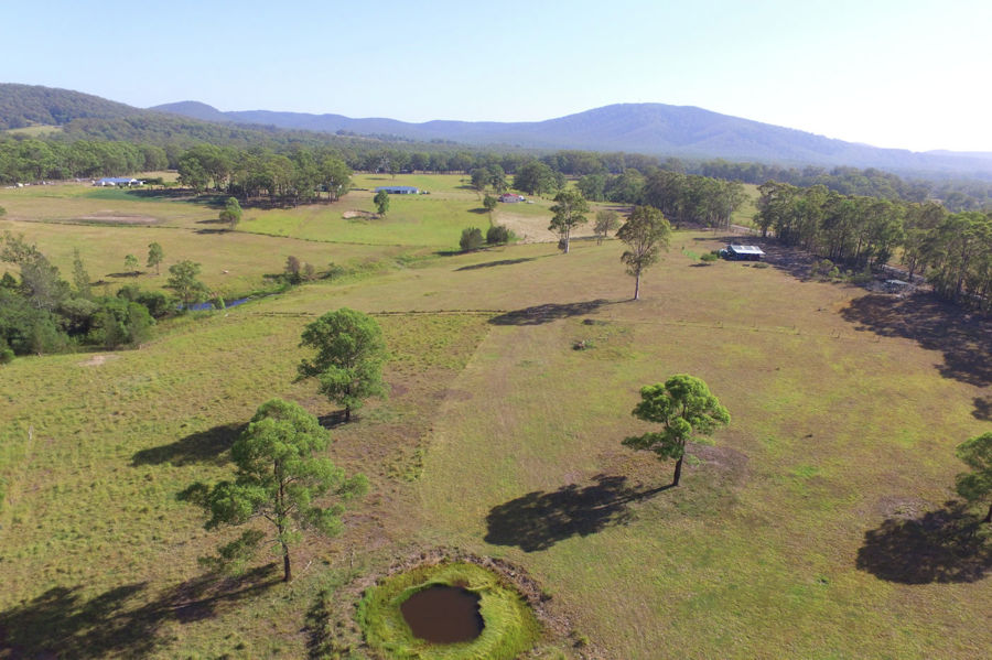 Real Estate in Nabiac