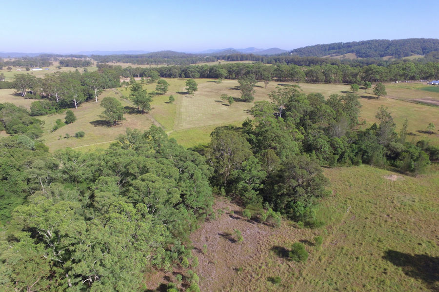 Real Estate in Nabiac