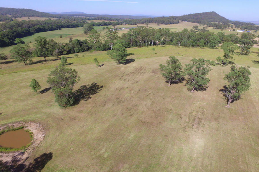 Real Estate in Nabiac