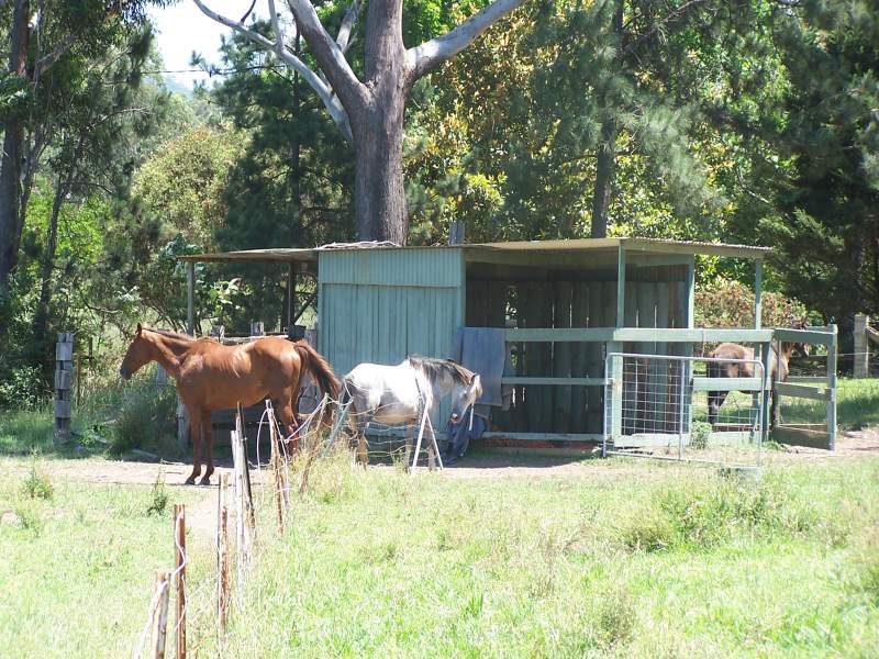 Real Estate in Nabiac