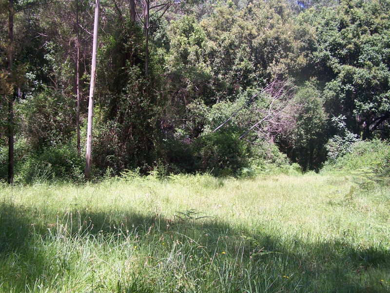 Nabiac Properties Sold