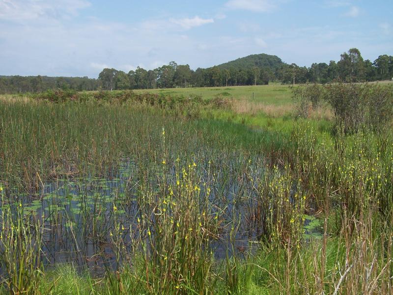 Open for inspection in Nabiac