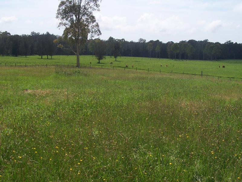 Selling your property in Nabiac