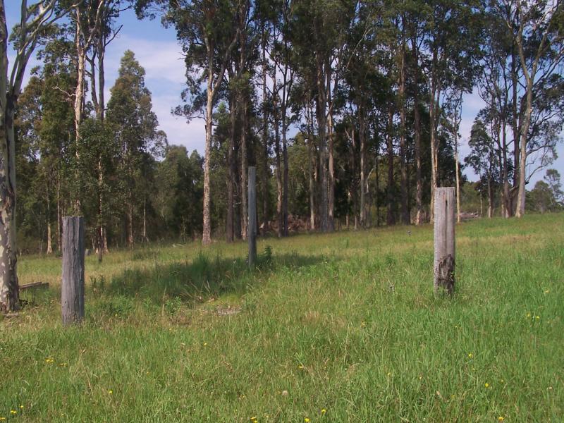 Real Estate in Nabiac