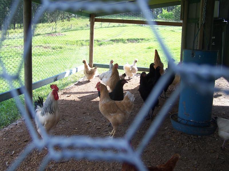 Real Estate in Krambach