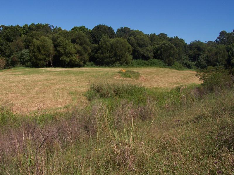 Nabiac Properties Sold