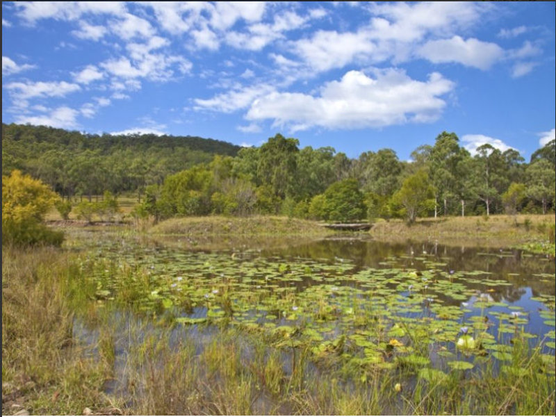 Real Estate in Coolongolook