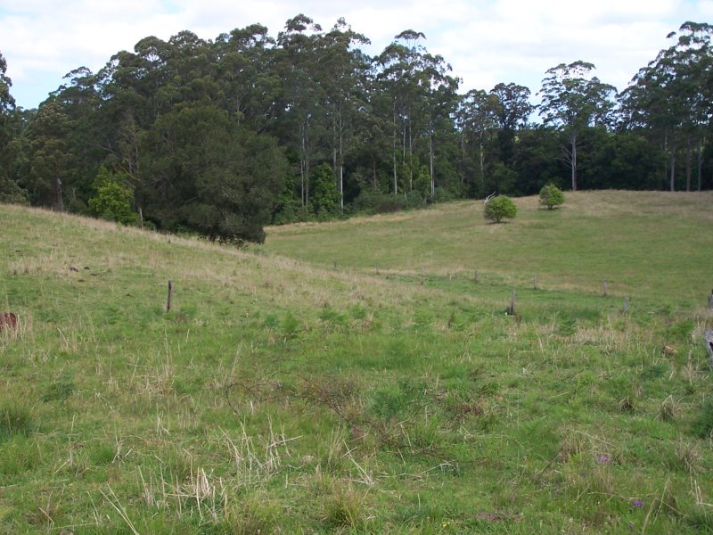 Selling your property in Nabiac