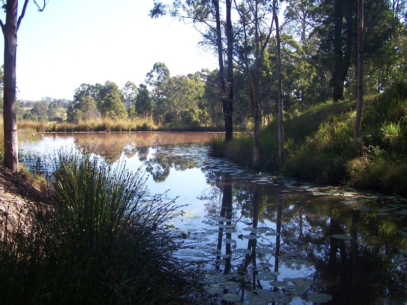 Open for inspection in 