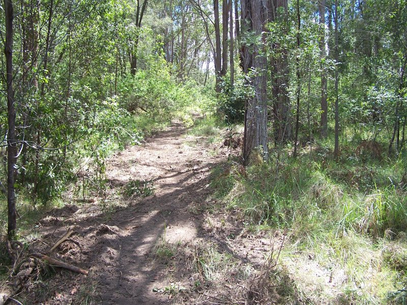 Open for inspection in Nabiac