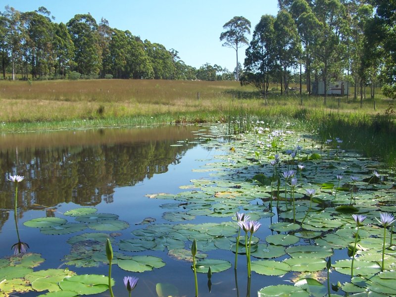 Selling your property in Nabiac