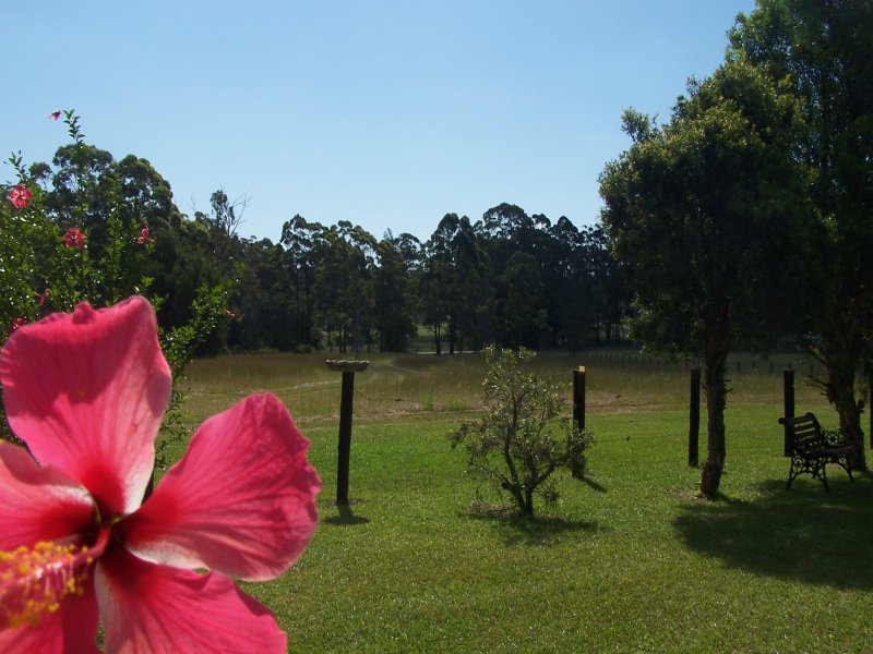 Real Estate in Nabiac