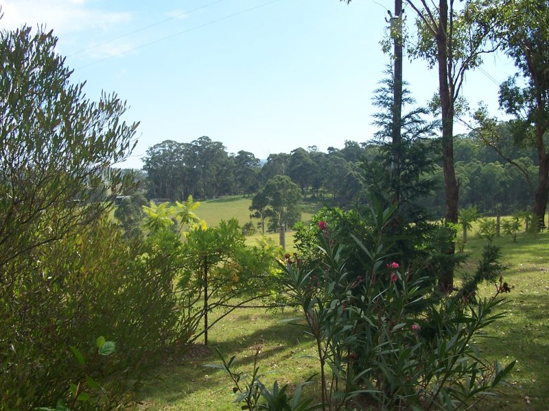 Real Estate in Firefly