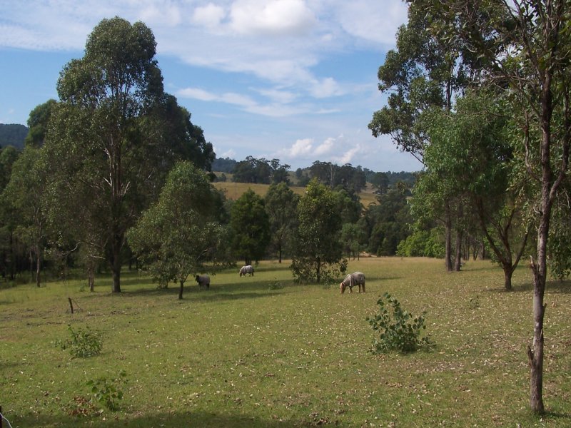 Real Estate in Firefly