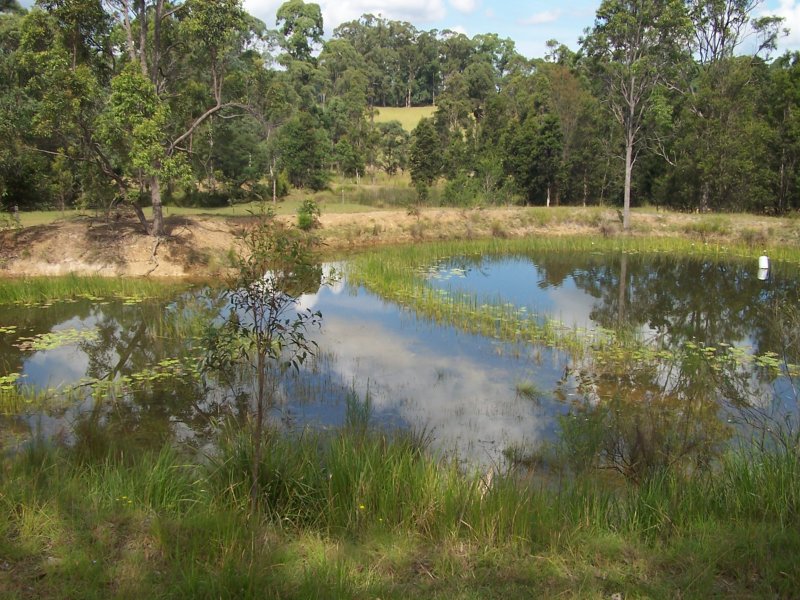 Real Estate in Firefly