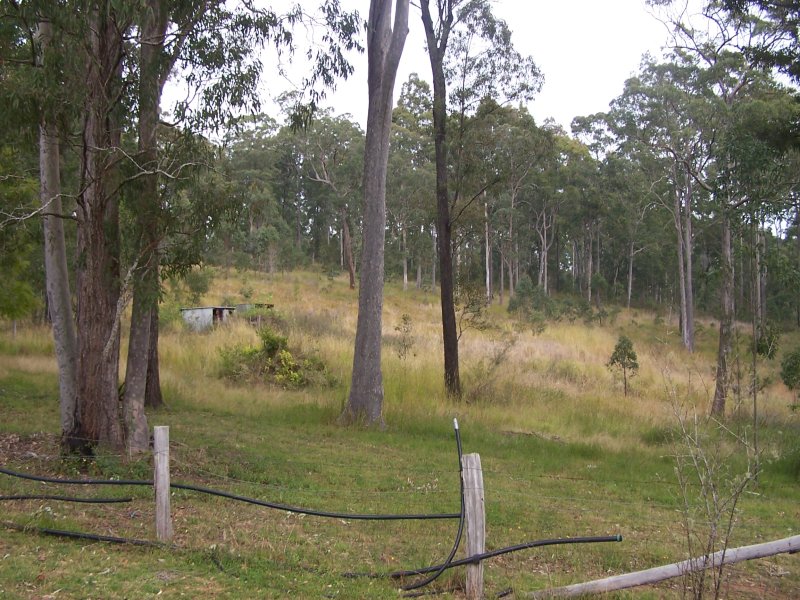 Real Estate in Nabiac