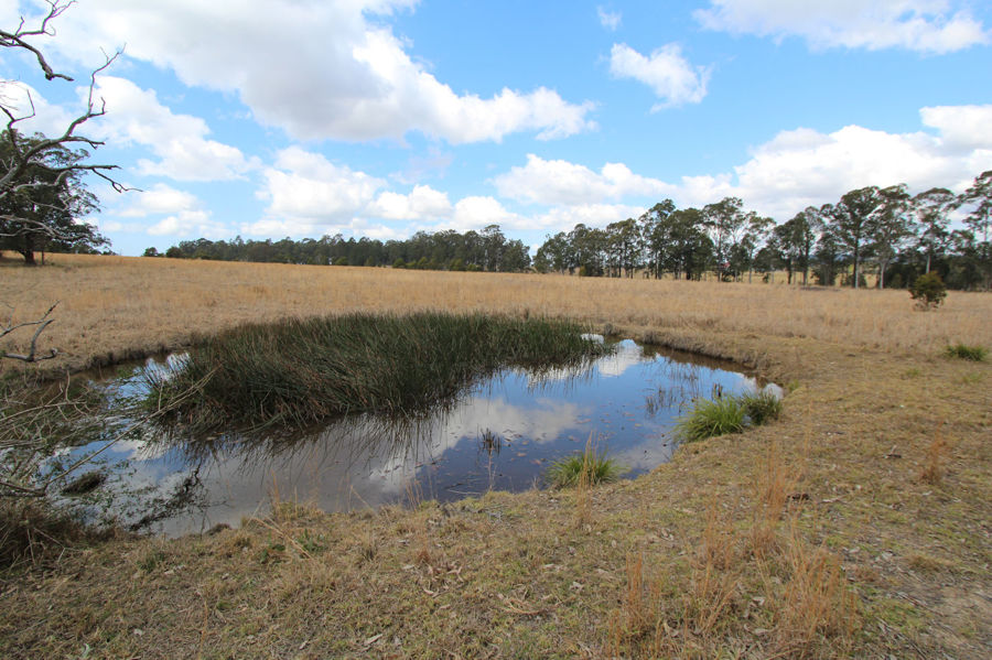 Real Estate in Dyers Crossing