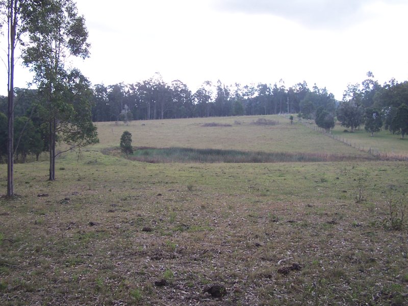 Real Estate in Dyers Crossing