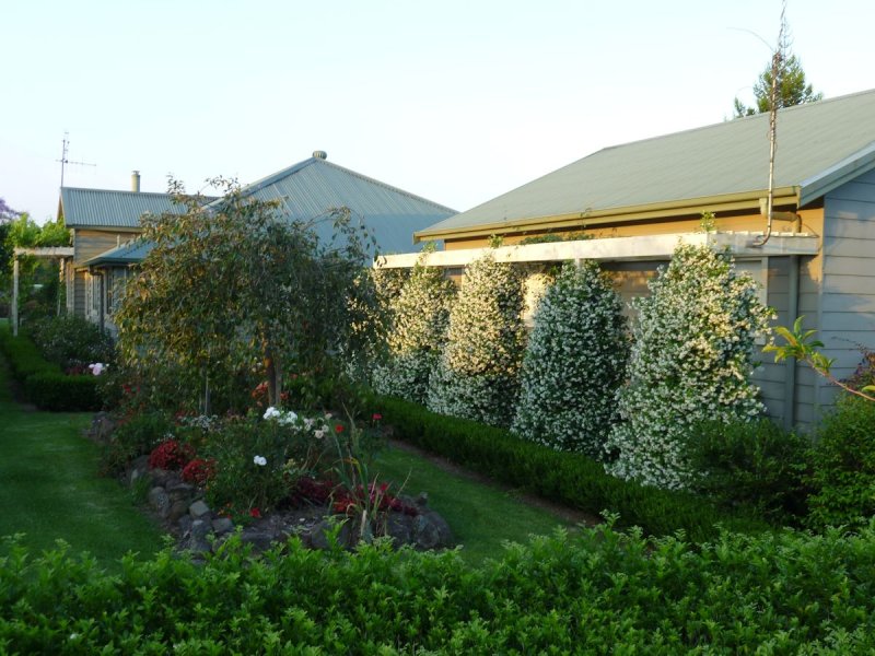 Real Estate in Firefly