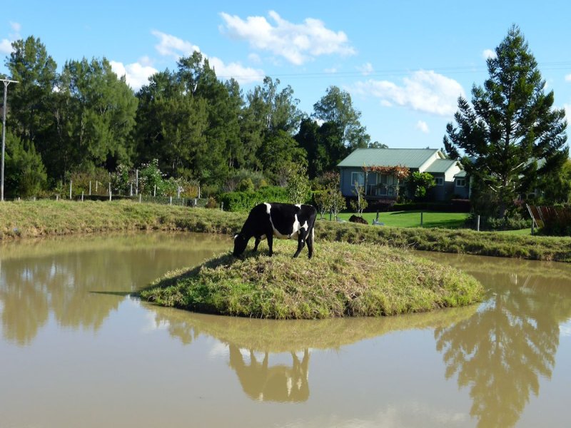 Real Estate in Firefly