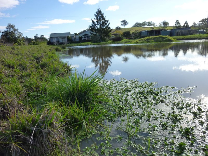 Open for inspection in Firefly