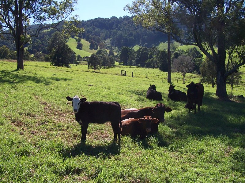 Selling your property in Dyers Crossing