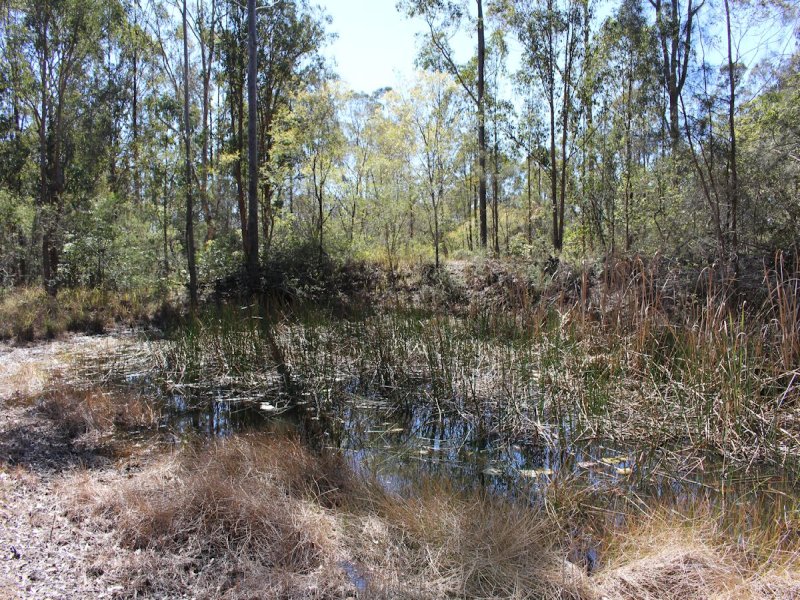 Real Estate in Coolongolook