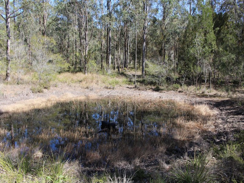 Real Estate in Coolongolook