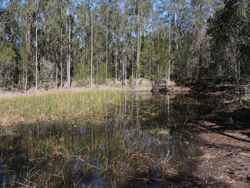 Real Estate in Coolongolook