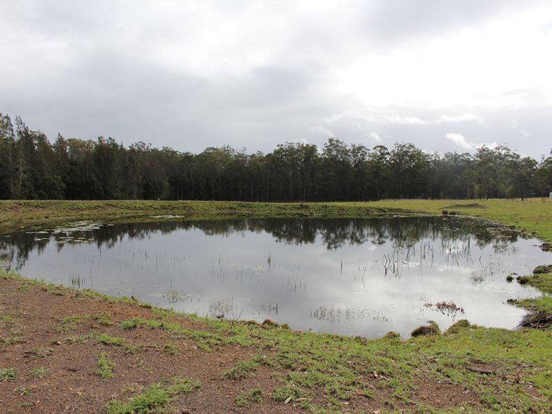 Real Estate in Nabiac