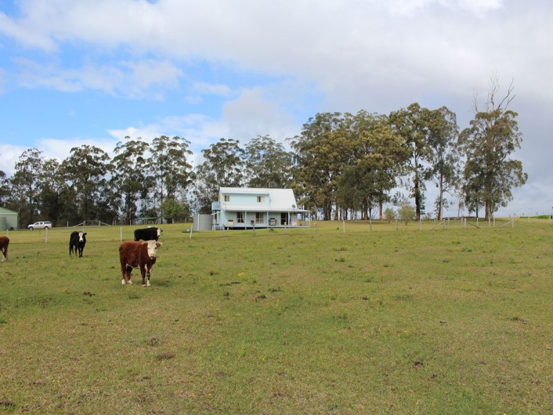 Real Estate in Nabiac