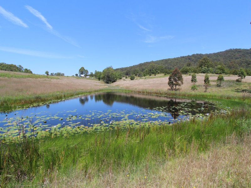 Real Estate in Coolongolook